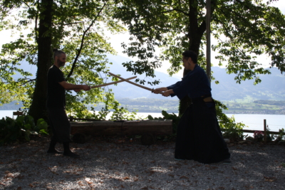 14 sword crossing